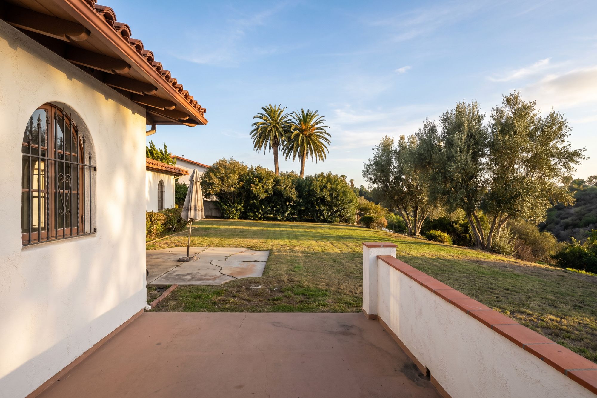 Before: a large San Diego canyon-lot backyard seen from the terrace of a Spanish revival home, a tired lawn, a cracked concrete pad and a leaning umbrella in front of a tall hedge and two Canary Island palms