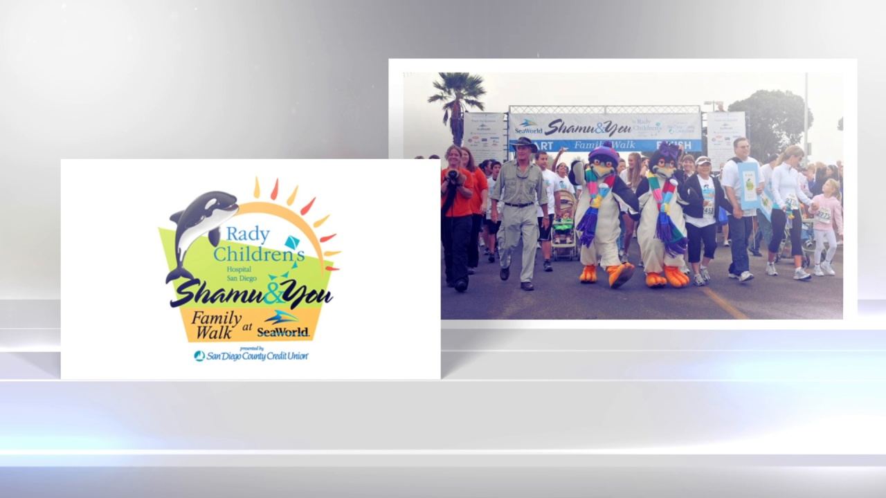 Habitat for Humanity: video poster