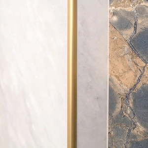 Gold Handrail in Walk In Shower