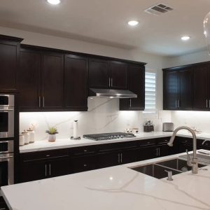 Full Kitchen Remodel in San Diego
