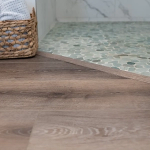 Bathroom Remodel Flooring Transition