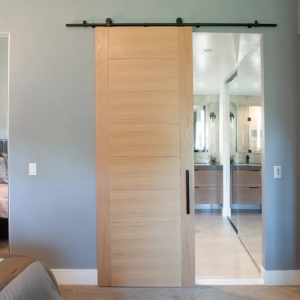 Master Bedroom and Bathroom Transition Remodel