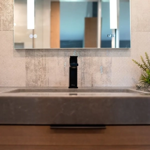Contemporary Bathroom Sink Upgrade