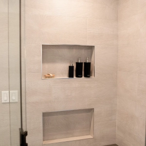 Contemporary Walk InShower Remodel