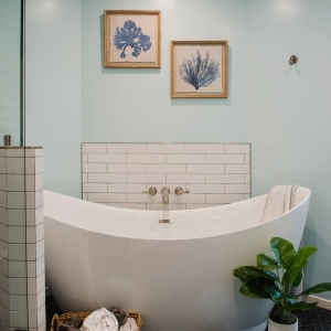 Master bathroom Soaking Tub