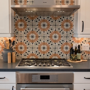 Kitchen Upgrade Del Mar