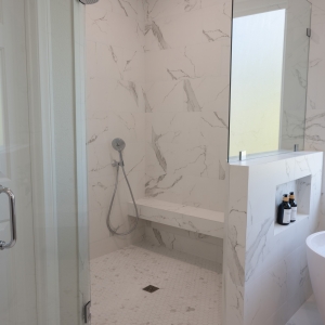 Contemporary Curbless Shower Design