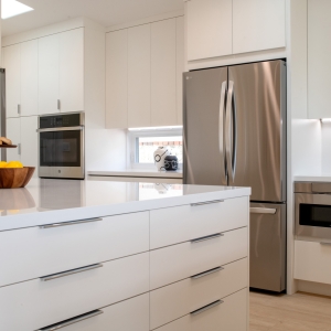 Contemporary Whole Home Remodel
