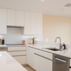 Scandinavian Kitchen Renovation San Diego