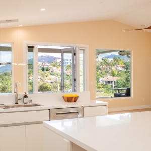 Scandinavian Contemporary Kitchen Cabinetry Remodel