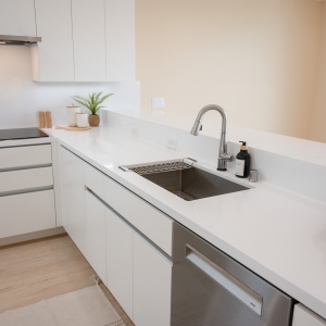 Contemporary Kitchen Remodel