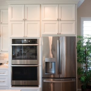 Kitchen Appliances Remodel
