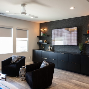 Moder Home Bar Makeover