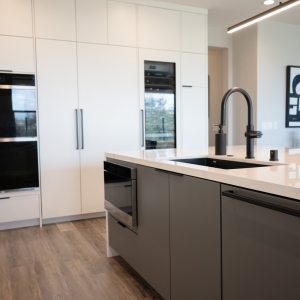 Modern Luxury Kitchen Cabinetry Remodel