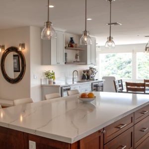 Transitional Kitchen Remodel