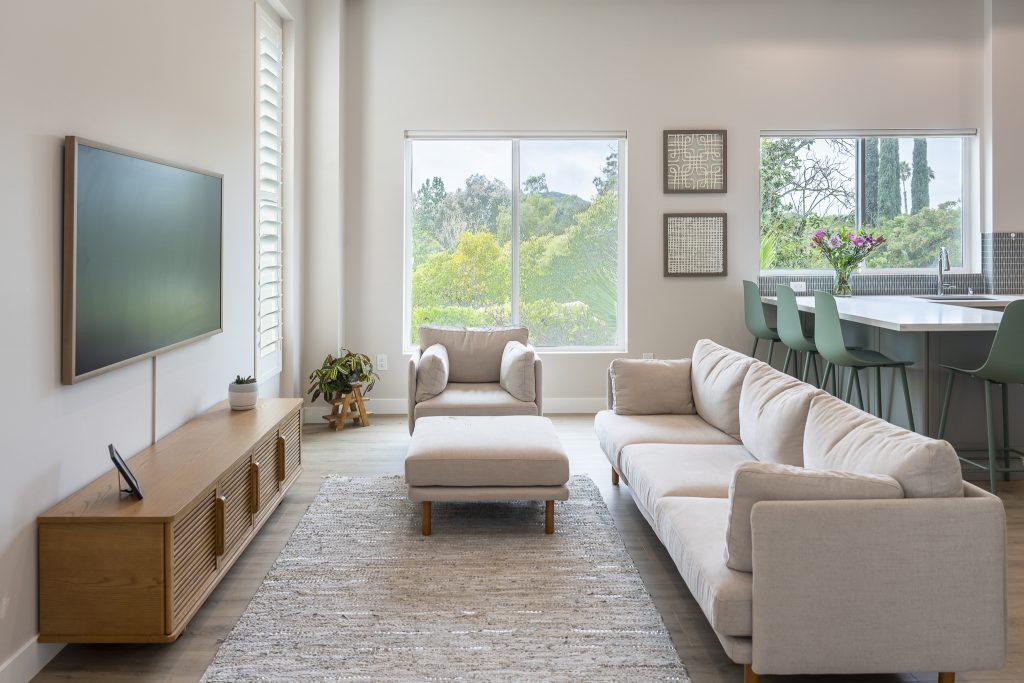 ADU entry with modern door, TV console, and plants.