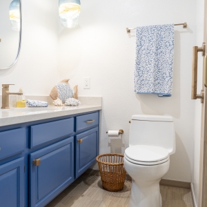 Vanity and toilet with coastal glass pendant and warm brass accessories