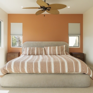 Primary bed wall with terracotta accent and ensuite entry