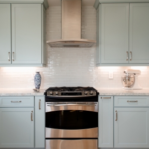 Stainless range and hood with Elysium Casale mosaic backsplash and quartz countertop