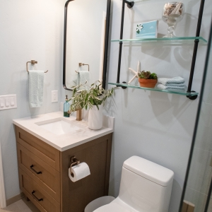Teodor Bridgeport vanity with black pulls, a black-framed mirror, and glass shelves over the toilet